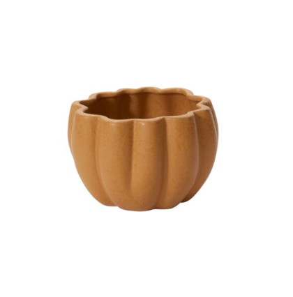 Ochre Spiced Pumpkin Pot
