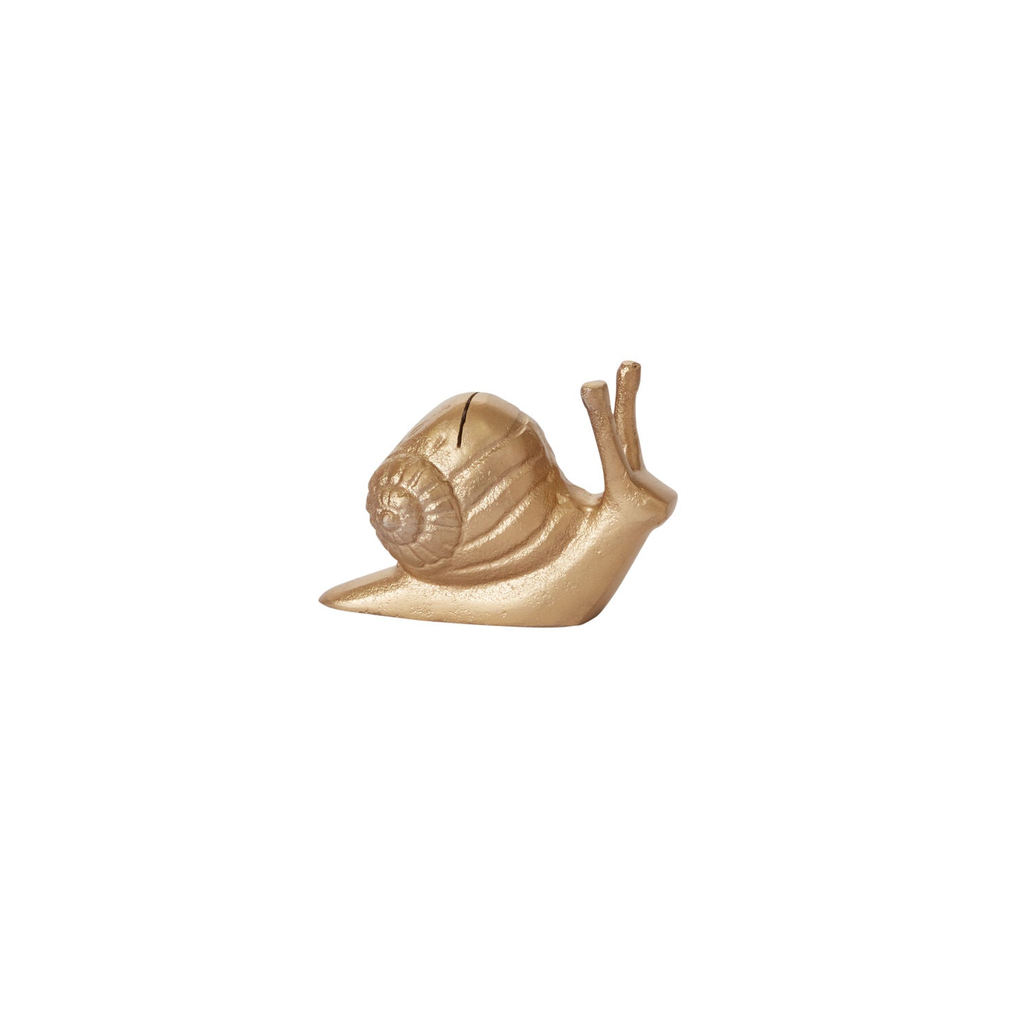 Golden Snail Card Holder