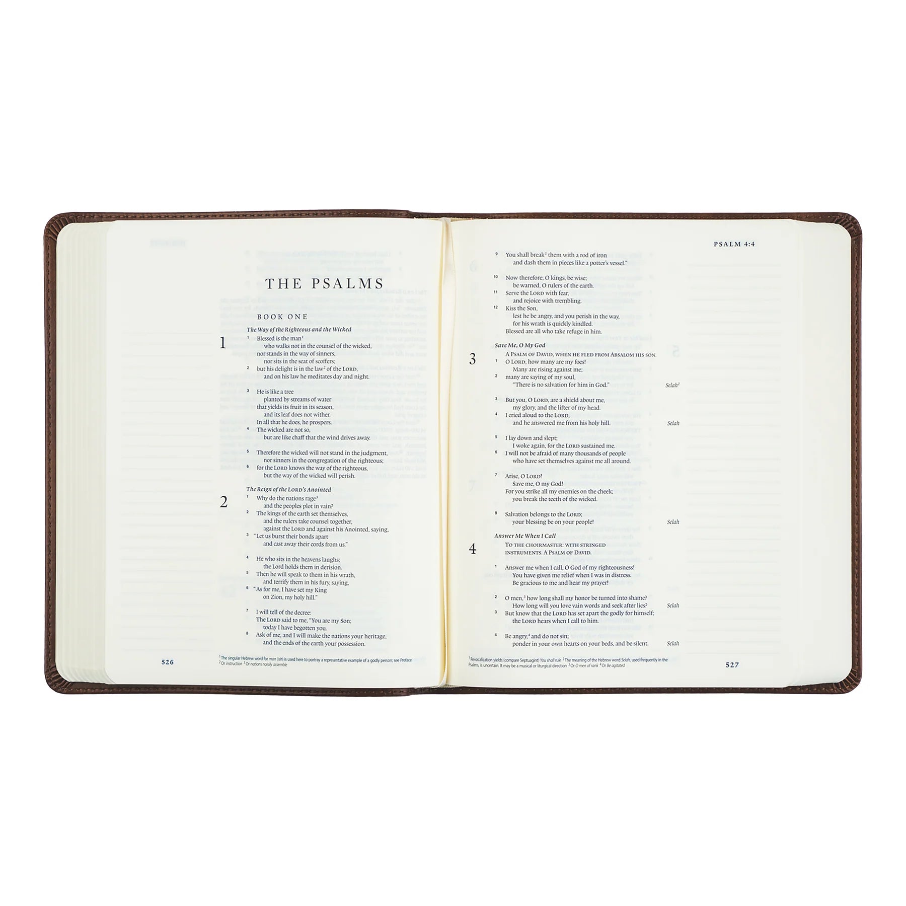Westminster Theme ESV Notetaking Bible