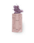Coconut Rose Bath Soak