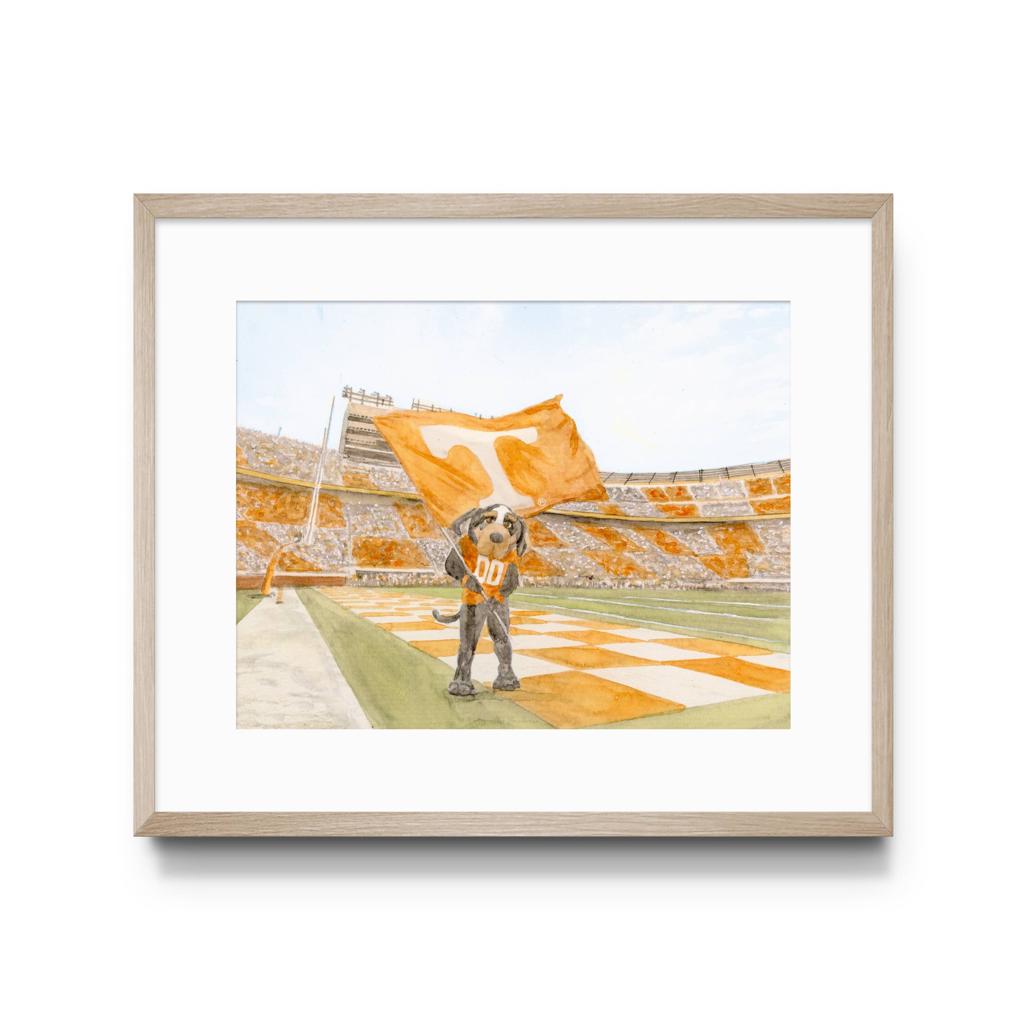 8x10 University of Tennessee Smokey Art Print