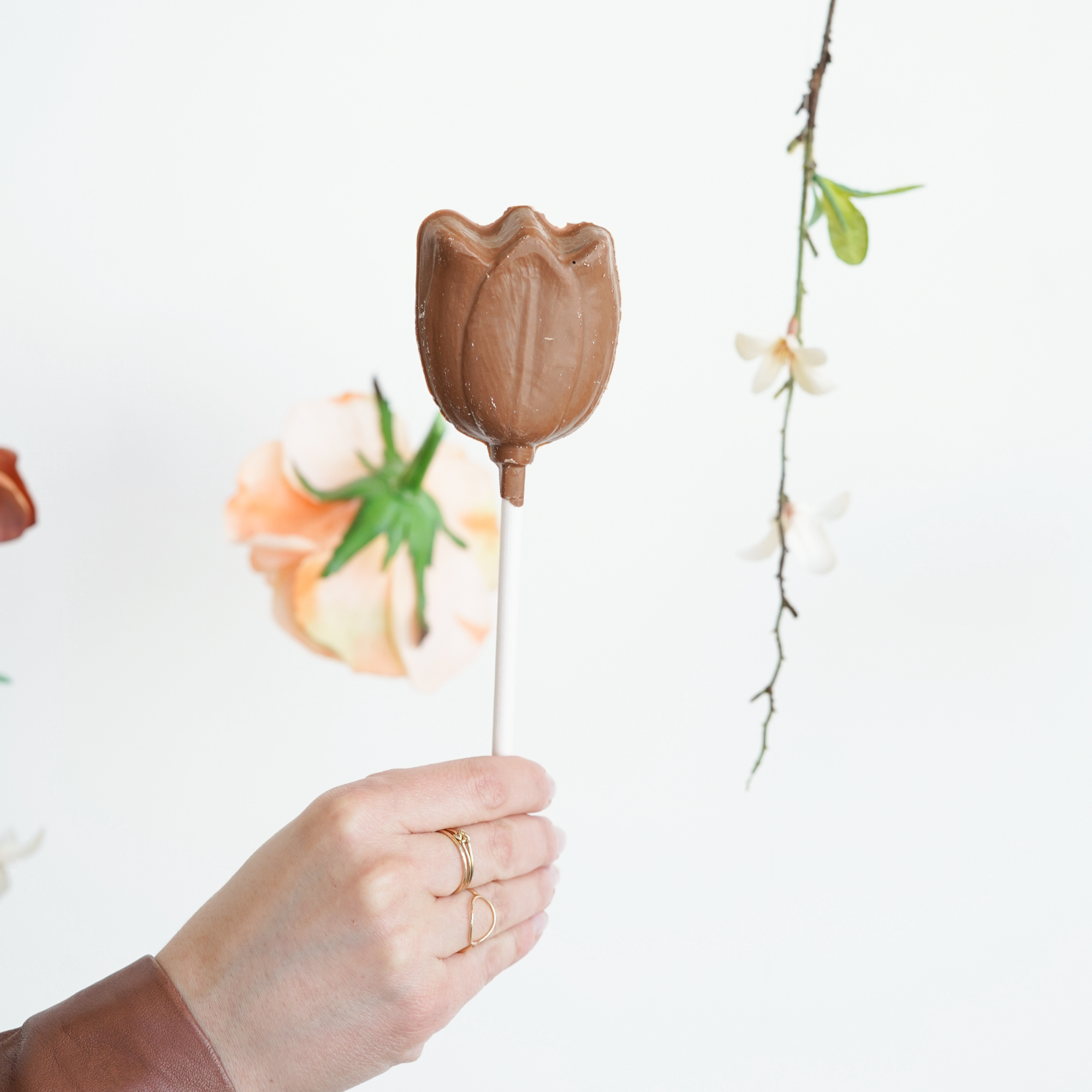 Chocolate Large Tulip Pop