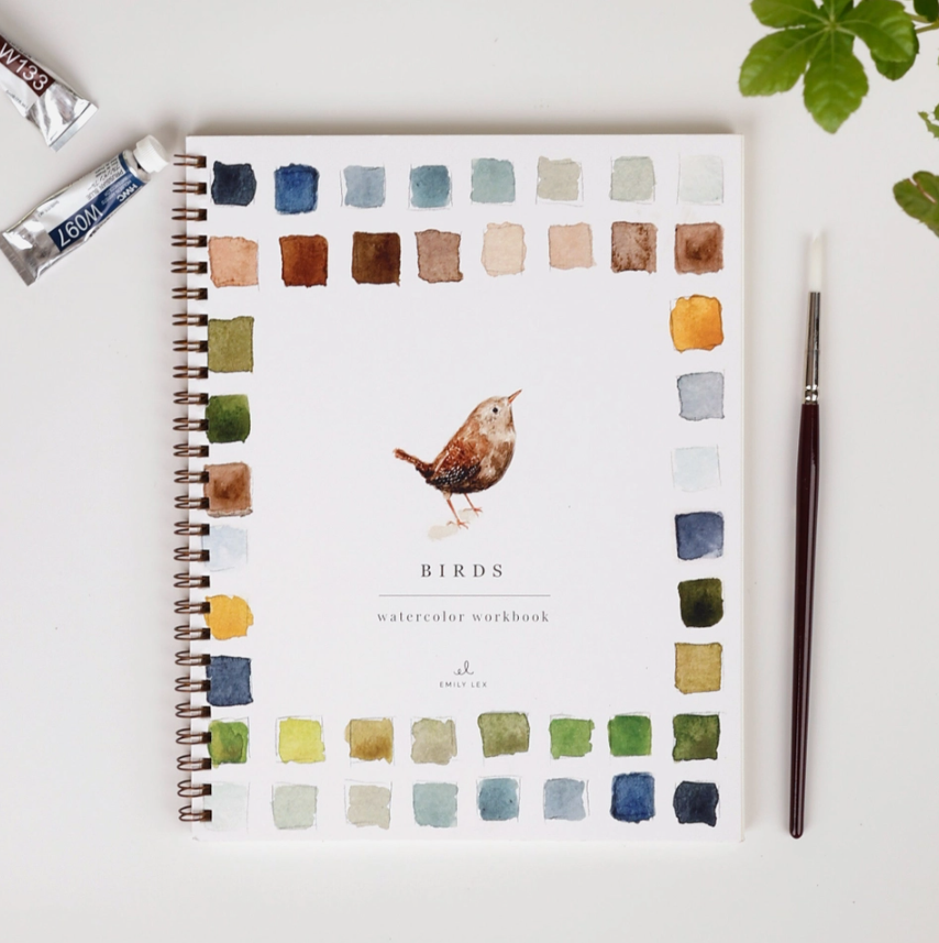 Birds Watercolor Workbook